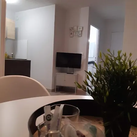 Apartment Jungle *