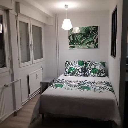 Jungle Metz