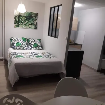 Appartamento Jungle